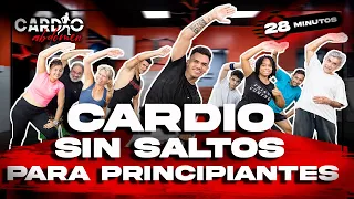 CARDIO SIN SALTOS para PERDER PESO RAPIDO | PRINCIPIANTES | 28 minutos