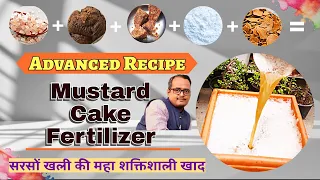 Advanced Recipe of Mustard Cake Fertilizer. सरसों खली की इस खाद का कोई मुकाबला नहीं. Must try!!