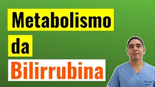 Metabolismo da Bilirrubina produção e excreção