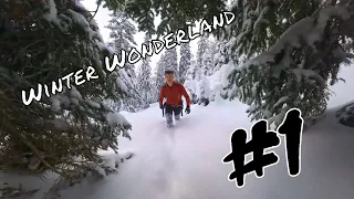 Insta360 X3 | Winter Wonderland 4K HIKING Fototage