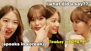 Chaewon *judging* Kazuha's korean skills during livestream (got impatient?)