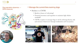 National Action Plan & DPM programs impact on rabies control & animal welfare. By Elly Hiby ICAM Dir