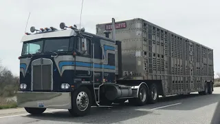 TRUCK SPOTTING IN MICHIGAN AND INDIANA - Cabover, Musical Horn, WIA, & More