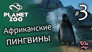 Африканские пингвины - Planet Zoo #3 | Прохождение на русском