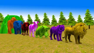 Paint & Animals Duck,Gorilla,Cow,Lion,Elephant,Hippo Fountain Crossing Transformation Animal Cartoon