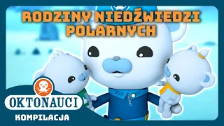 Oktonauci - 🐻‍❄️ Misje arktyczne rodziny niedźwiedzi polarnych 🐾🧊 | Kompilacja | Całe odcinki