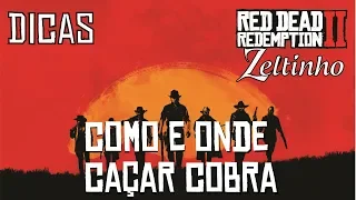 Red Dead Redemption 2 - Como Caçar Cobra