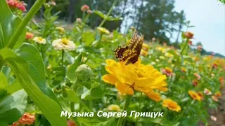 Музыка Для Души ,,УБЕГАЕТ ЛЕТО,, Музыка Сергей Грищук