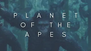 The Beauty Of Planet Of The Apes trilogy