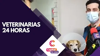 Veterinarias que ofrecen sus servicios las 24 horas del día | Capital en Línea