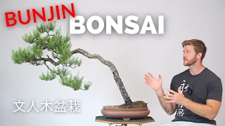 Bunjin Pine Bonsai - Experimental Techniques | Bonsai-U