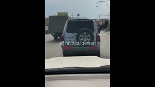 Подробности падения пассажирки из окна "волгоградской" машины
