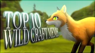TOP 10 WildCraft meme 2/4