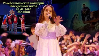 Рождественский концерт Воскресной школы храма Василия Великого