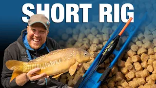 Carp Pellet Rig | No Nonsense Guide | Andy May