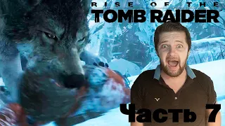 Волки очень голодны! Прохождение Rise of the Tomb Raider (2015) на русском №7