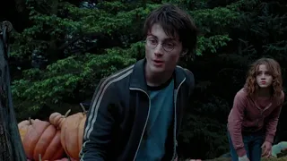 Harry And Hermione Save Buckbeak - Harry Potter And The Prisoner Of Azkaban