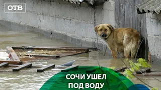 ЭКСТРЕННАЯ ЭВАКУАЦИЯ! Сочи уходит под воду | #ОТВ