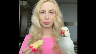 Режим сна у попугая 🦜