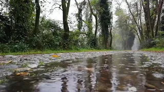 8 horas Som de Chuva leve e calma - Tela Preta - Som e musica para relaxar, dormir