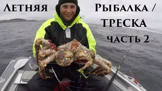 ЧУДЕСНАЯ МОРСКАЯ РЫБАЛКА  / WONDERFUL SEA FISHING