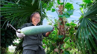 Winter melon harvest in the Forgotten Village | Raw country LIFE in South Asia