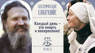 Как упал наш уровень духовной жизни! Сестрическое собрание с о. Андреем Лемешонком 02.06.2024