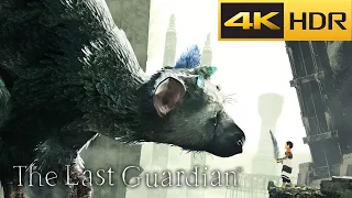 The Last Guardian PS4 Pro gameplay【4K HDR】