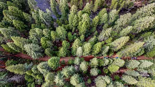 Stanislaus National Forest Camping by the River | Tacoma | GX460 | Raptor | Overlanding | OFFROAD