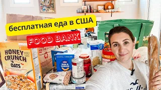 FOOD BANK | Нам дали бесплатные продукты