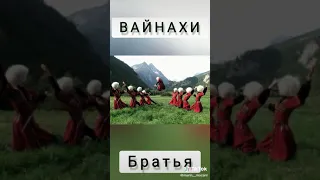 Вайнахи Братья