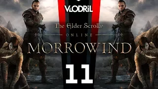 Morrowind Expansion - Let's Play The Elder Scrolls Online DLC Part 11 - Warden Wood Elf - MMORPG -