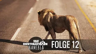 Destination Namibia 🐆 12 - Tiere ohne Ende in Etosha! 📷 Reisefotografie Doku - Krolop&Gerst