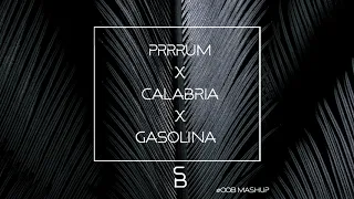 Prrrum x Calabria x Gasolina (Samuele Brignoccolo Tiktok Mashup)