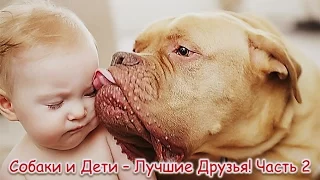 Best Of Funny Dogs Love Babies! Compilation [HD] # 2! Собаки и Дети – Лучшие Друзья!