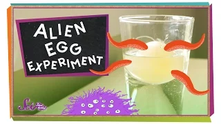 Alien Egg Experiment! #sciencegoals