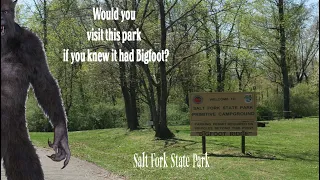 Would You Visit This Park if You Knew it had Bigfoot?