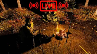 Solo Survival In The Hardest WINTER Server In DAYZ!