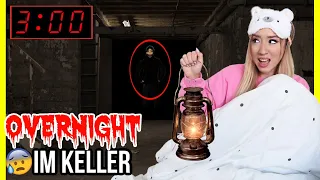 mache niemals im gruseligen KELLER vom HAUS eine OVERNIGHT CHALLENGE  (ES schreit & tritt gegen TÜR)