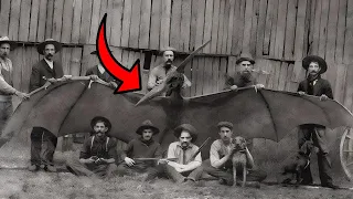 Ultimas fotos de animales antes de su extinción