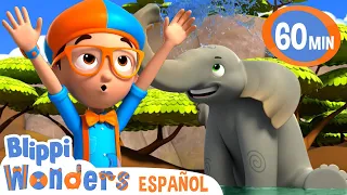 Elefantes | Blippi Wonders | Caricaturas para niños