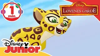 Løvenes garde | Musikk: Jo mer får jeg se 🎶- Disney Junior Norge