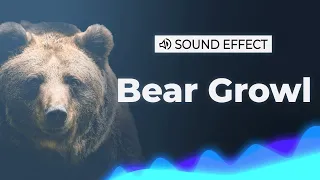 Bear Growl Moaning Sound Effect | SFX Free for Non-Profit Projects