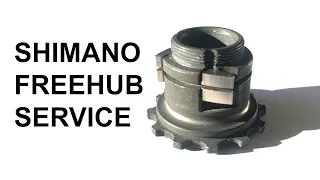 Shimano Freehub Service