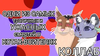 САМЫЕ ТРАГИЧНЫЕ И УЖАСАЮЩИЕ СМЕРТИ В КОТАХ-ВОИТЕЛЯХ | Коллаб с @BlueberryWarriorCats | Бежелапая