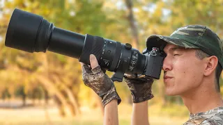 Sigma 150-600mm NEW Lens Review for Wildlife/Bird Photography