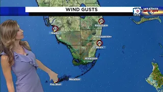 Cold front bringing cooler and windy conditions to South Florida