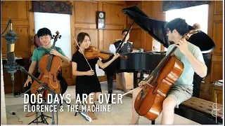 DOG DAYS ARE OVER | Florence + the Machine || JHMJams Cover No.251