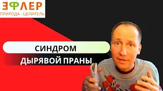 КАК ПЕРЕЙТИ НА ПРАНУ С ДЫРЯВЫМ КИШЕЧНИКОМ? АВТОНОМНОСТЬ НА ВСЕЕДЕНИИ