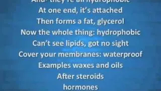 The Lipid Song